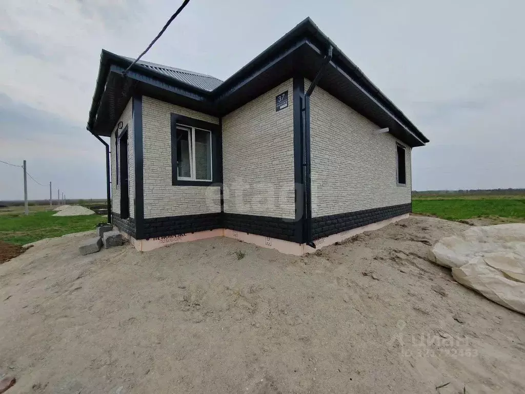 Дом в Амурская область, Белогорский муниципальный округ, с. Васильевка ... - Фото 1