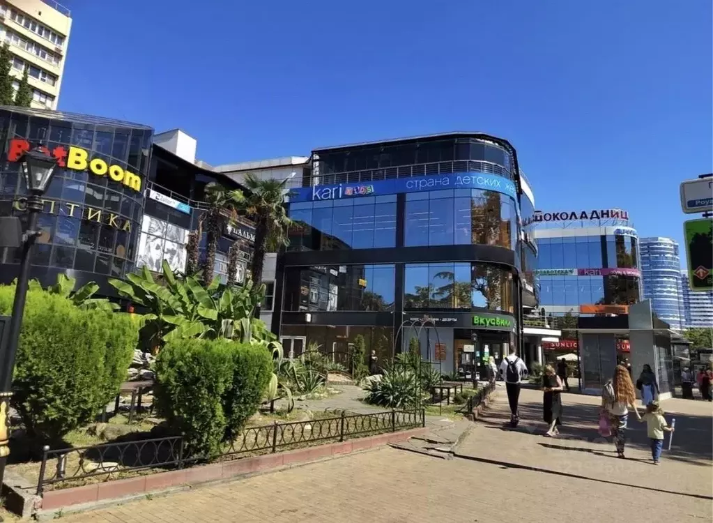 Помещение свободного назначения в Краснодарский край, Сочи Центральный ... - Фото 1