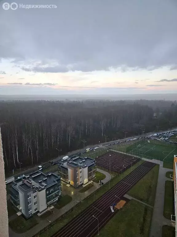 1-комнатная квартира: Санкт-Петербург, Пейзажная улица, 24к2 (30.9 м) - Фото 1