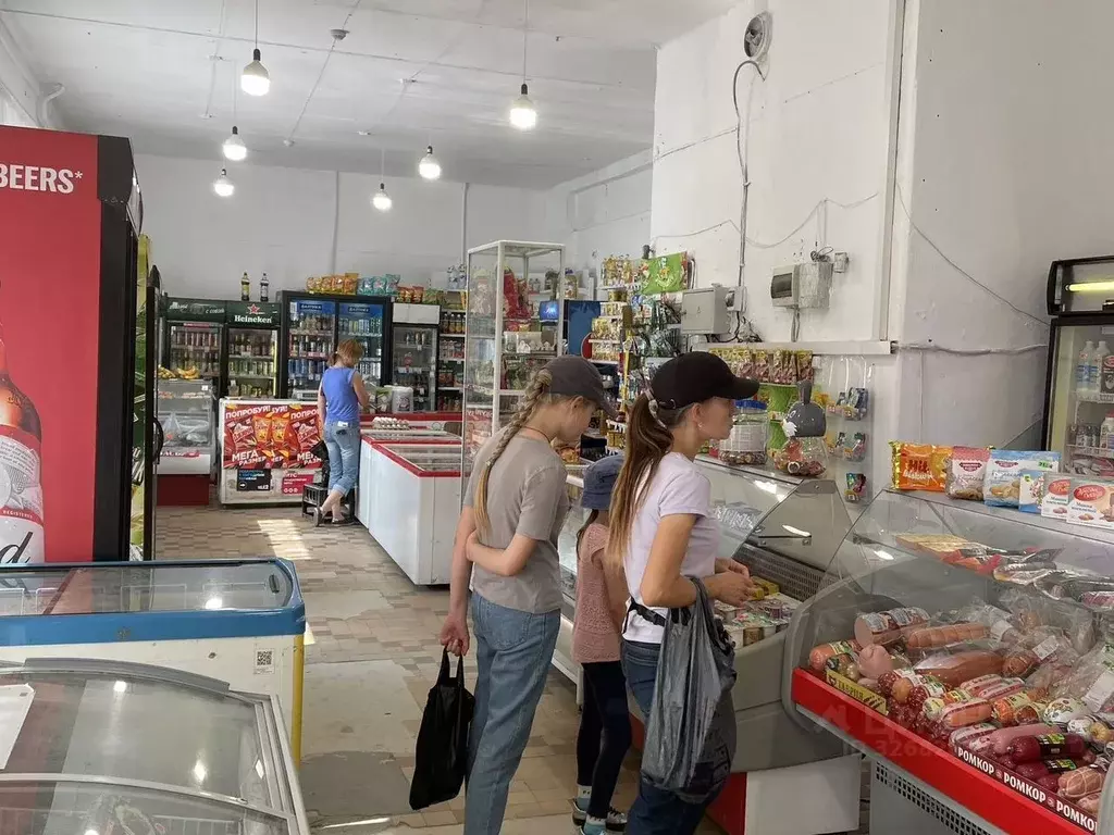 Торговая площадь в Челябинская область, Миасский городской округ, пос. ... - Фото 2