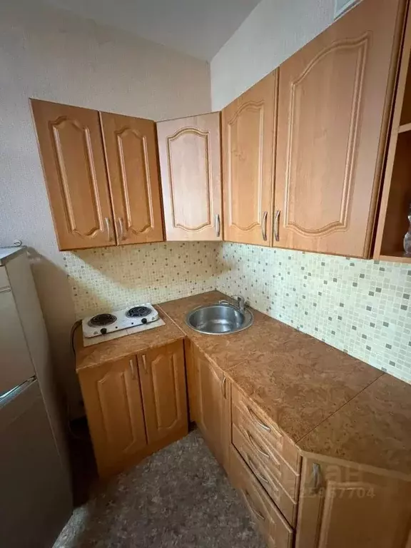 Студия Новосибирская область, Новосибирск Первомайская ул., 230 (23.0 ... - Фото 1