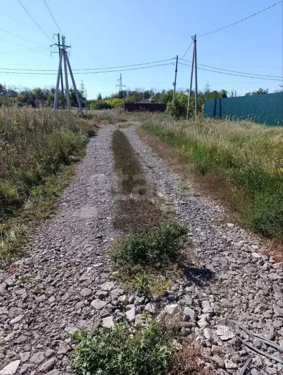 Участок в Воронежская область, Новоусманский район, Усманское 1-е ... - Фото 1