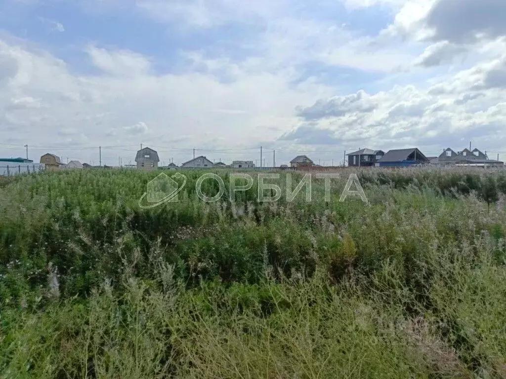 Участок в Тюменская область, Тюменский муниципальный округ, д. ... - Фото 2