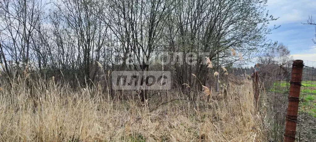 Участок в Курская область, Курский район, Моковский сельсовет, Фиалка ... - Фото 0