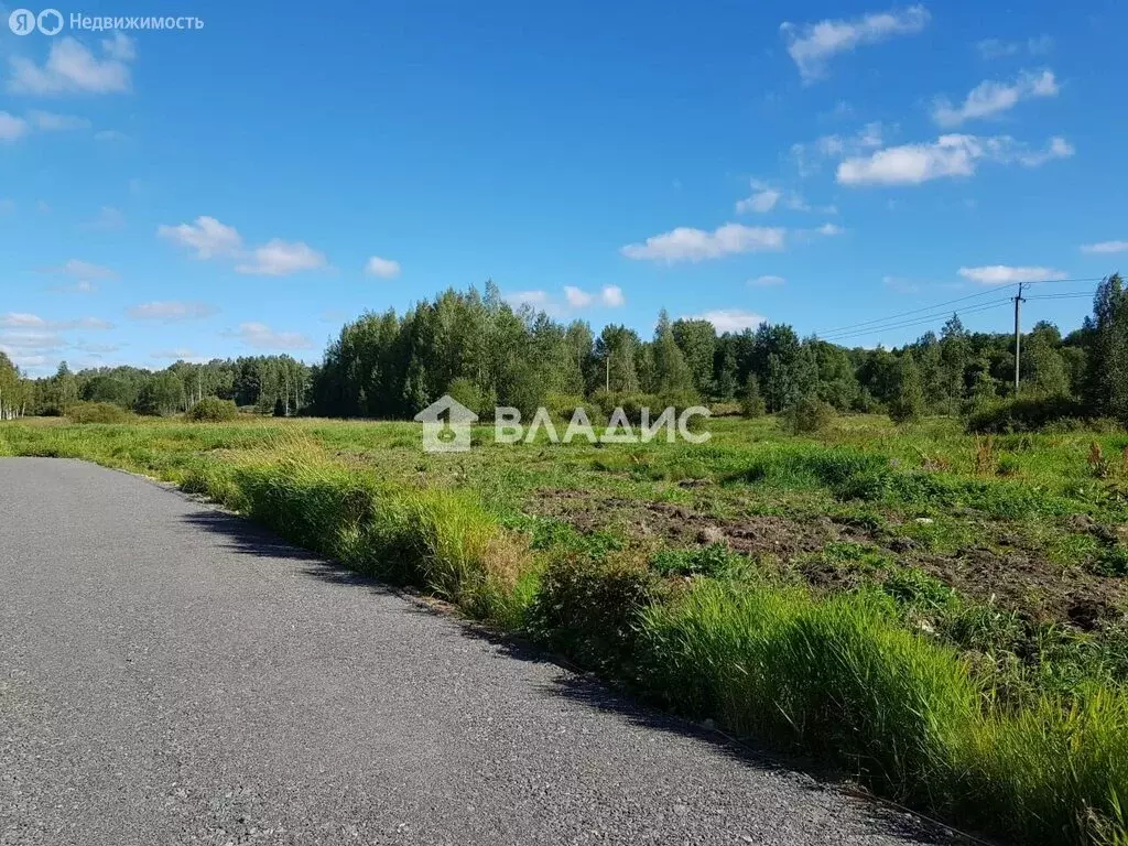 Участок в Куйвозовское сельское поселение, КП Белкино-3 (1009 м) - Фото 2