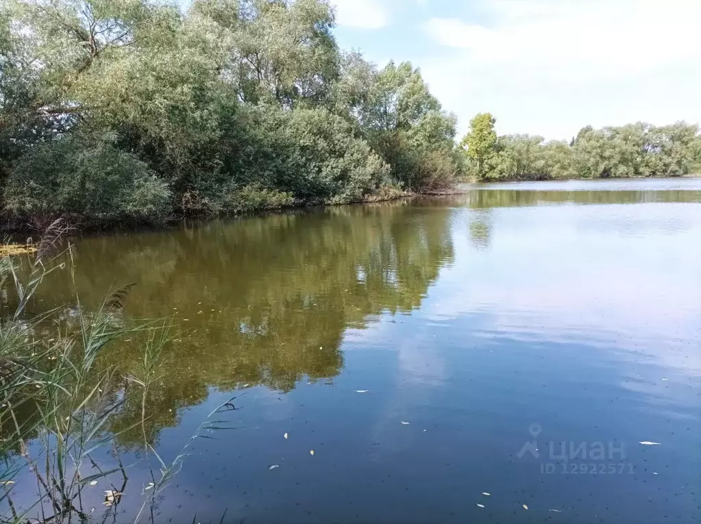 Участок в Московская область, Коломна городской округ, д. Малышево  ... - Фото 0