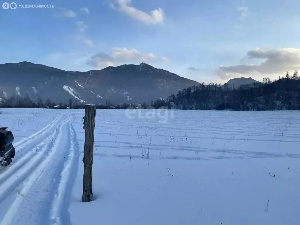 Участок в Усть-Коксинский район, село Тихонькая (680.7 м) - Фото 0