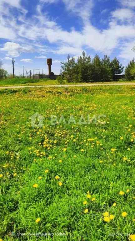 Участок в Владимирская область, Суздальский район, Селецкое ... - Фото 0