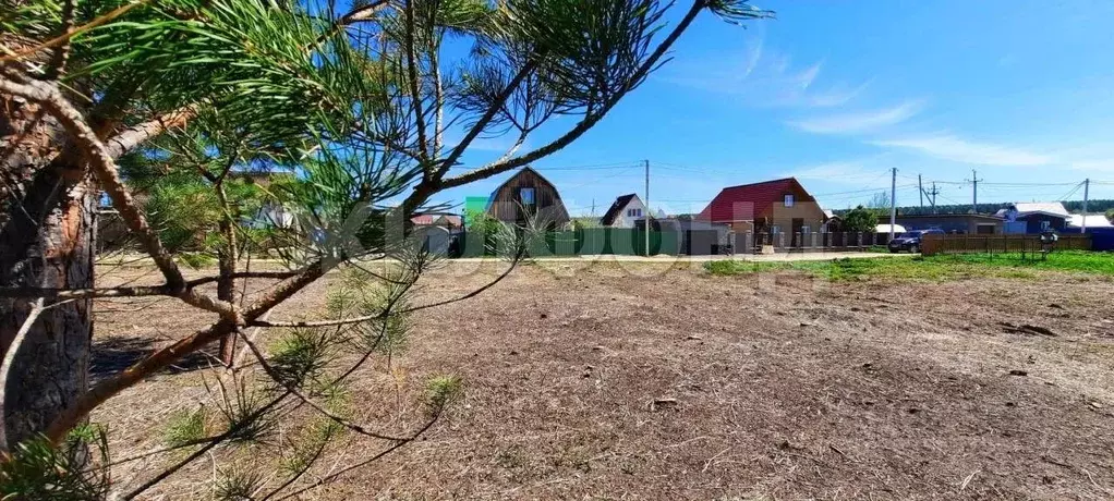 Участок в Новосибирская область, Новосибирский район, Кубовинский ... - Фото 2