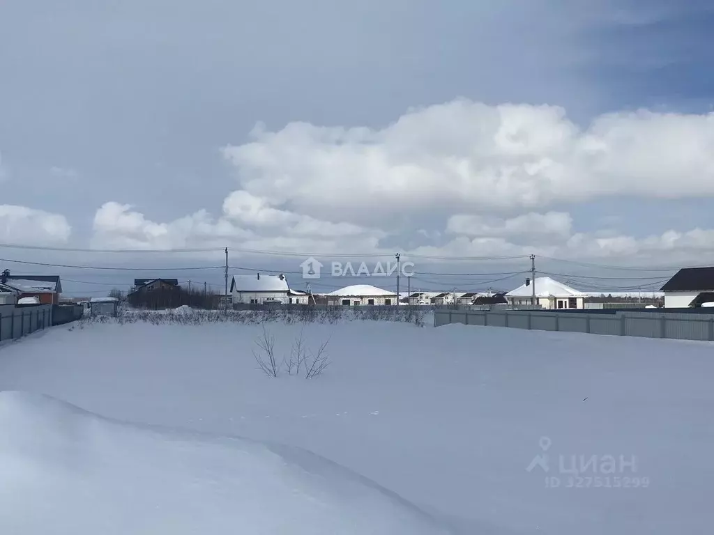 Участок в Нижегородская область, Богородский муниципальный округ, с. ... - Фото 1