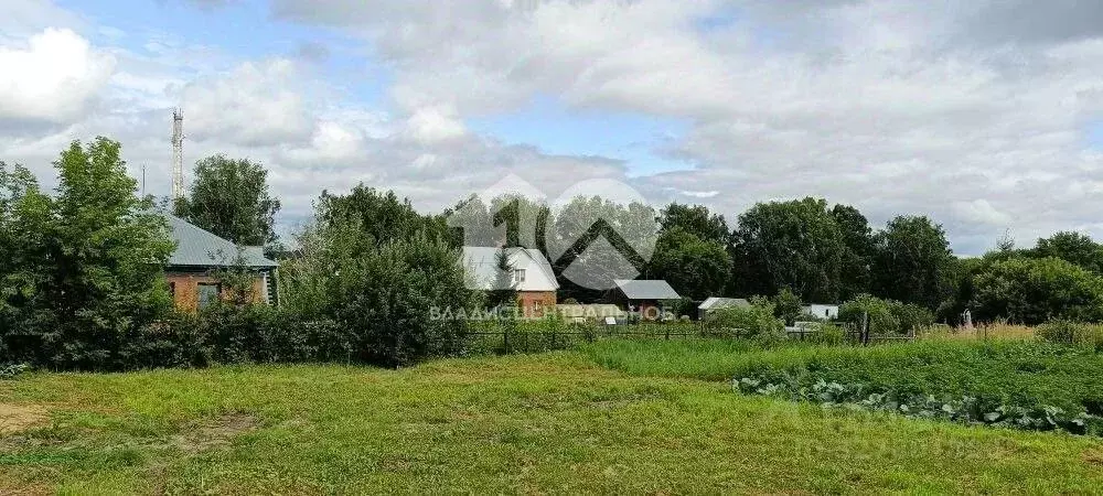 Участок в Новосибирская область, Новосибирский район, с. Барышево ул. ... - Фото 1