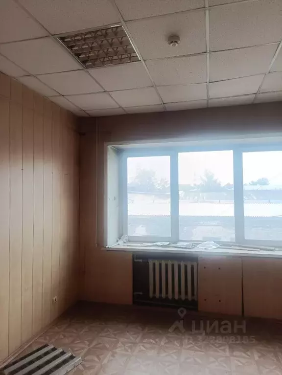Помещение свободного назначения в Иркутская область, Иркутск ул. ... - Фото 1