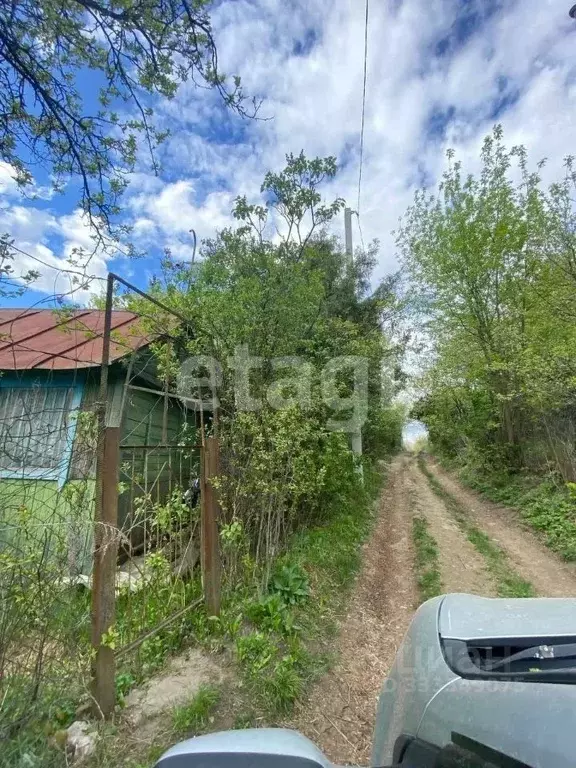 Участок в Брянская область, Брянск Рассвет-2 садовое общество,  (7.39 ... - Фото 1