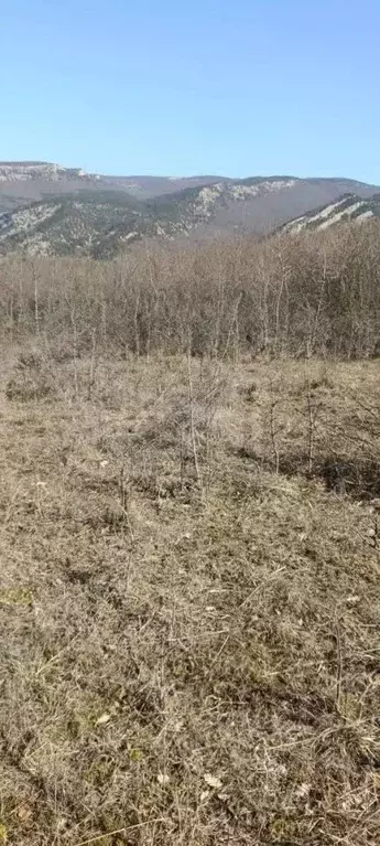 Участок в Севастополь Балаклавский муниципальный округ, с. Морозовка, ... - Фото 1