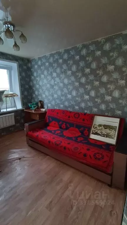 Комната Новосибирская область, Новосибирск Выборная ул., 118 (10.2 м) - Фото 1