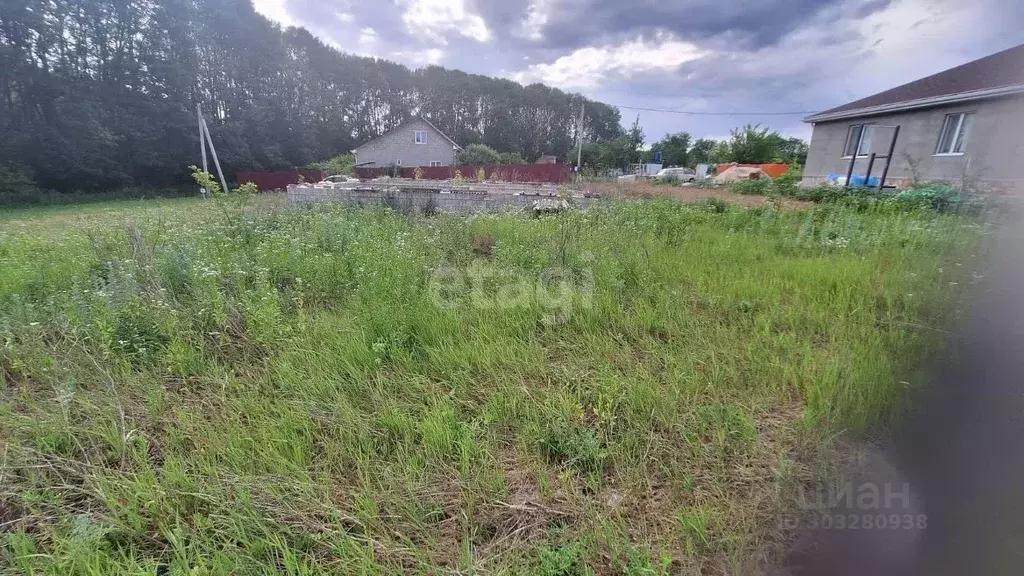 Участок в Белгородская область, Строитель Яковлевский городской округ, ... - Фото 1