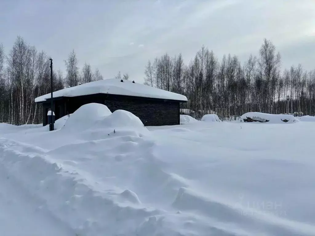 Участок в Московская область, Домодедово городской округ, д. Шишкино, ... - Фото 2