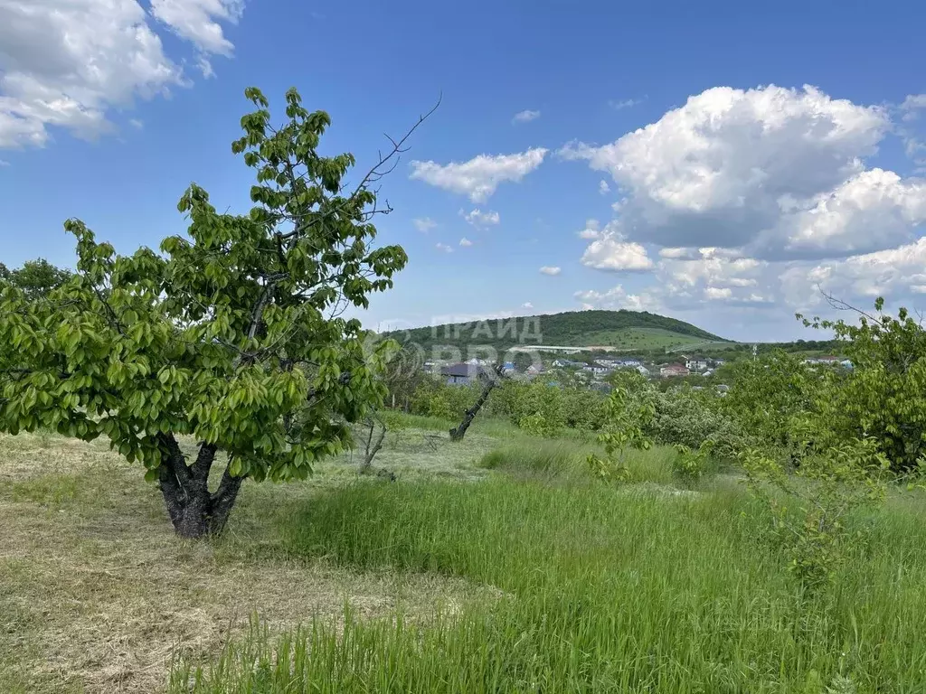 Участок в Краснодарский край, Анапа муниципальный округ, с. Гай-Кодзор ... - Фото 0