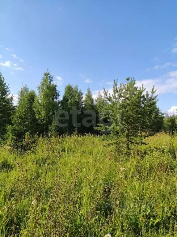 Участок в Пермский край, Пермский муниципальный округ, 3250001-1 кв-л ... - Фото 2