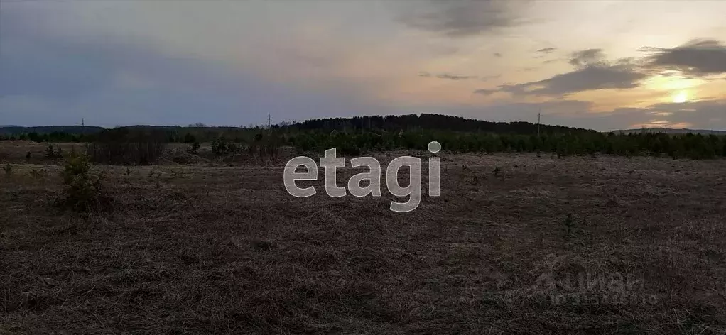 Участок в Свердловская область, Верхняя Тура ул. Мира (12.0 сот.) - Фото 1