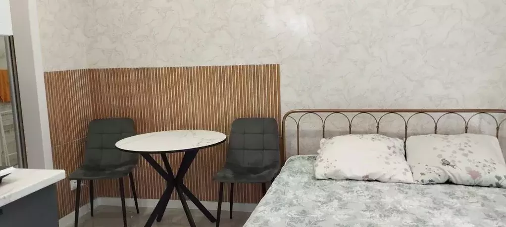 Студия Краснодарский край, Сочи Пластунская ул., 104Бк3 (22.4 м) - Фото 2