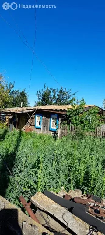 Дом в село Бережновка, улица Калинина, 13 (46 м) - Фото 1