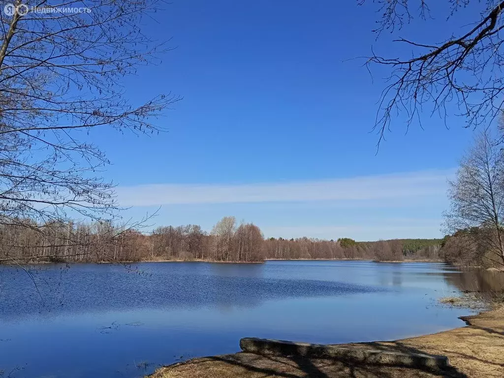 Участок в Волжск, улица Тимирязева (8 м) - Фото 2