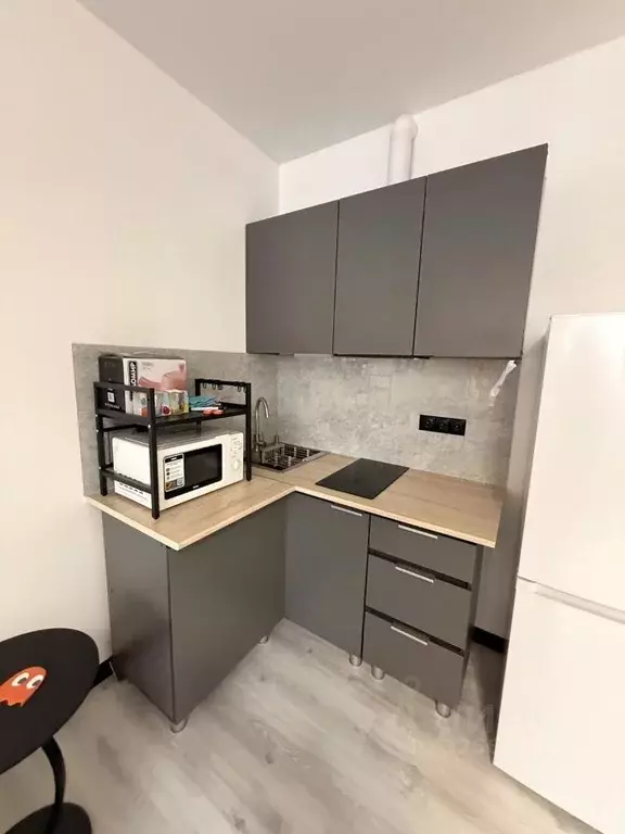 Студия Московская область, Химки городской округ, д. Рузино, ... - Фото 2