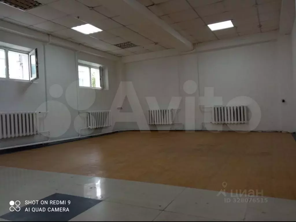 Помещение свободного назначения в Амурская область, Благовещенск ул. ... - Фото 1