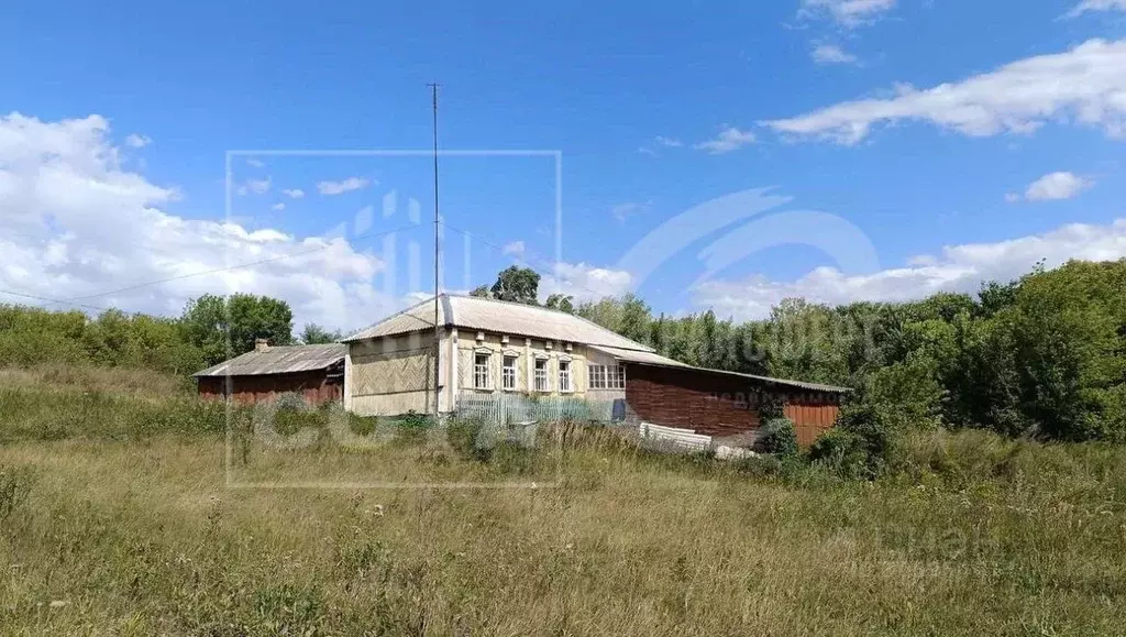 Дом в Воронежская область, Нижнедевицкий район, Верхнетуровское с/пос, ... - Фото 1