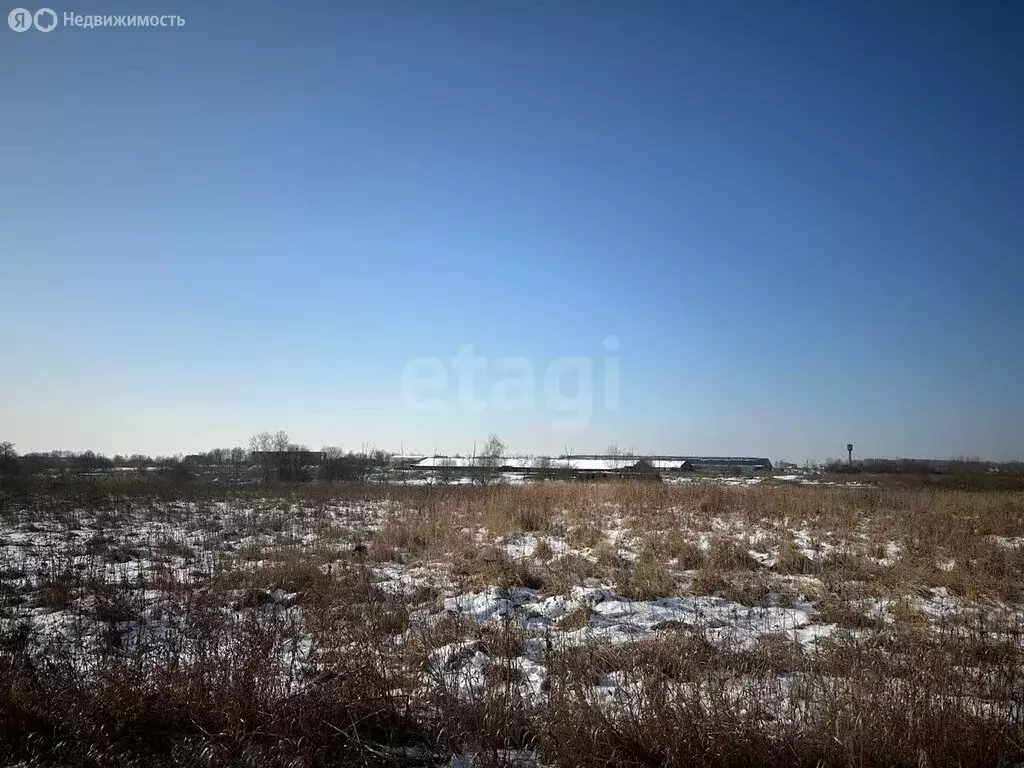 Участок в Заокский район, сельское поселение Демидовское, село ... - Фото 0