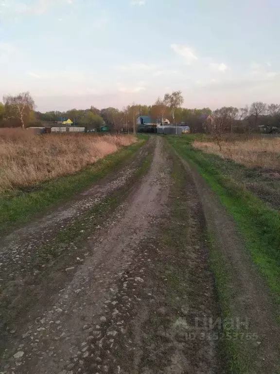 Участок в Рязанская область, Захаровский район, Добро-Пчельское с/пос, ... - Фото 2
