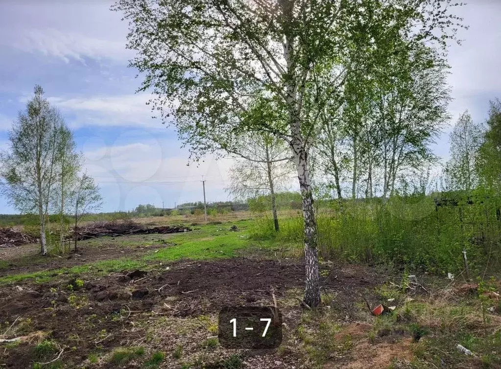 Участок в Омская область, Омск ул. Санина (7.3 сот.) - Фото 2