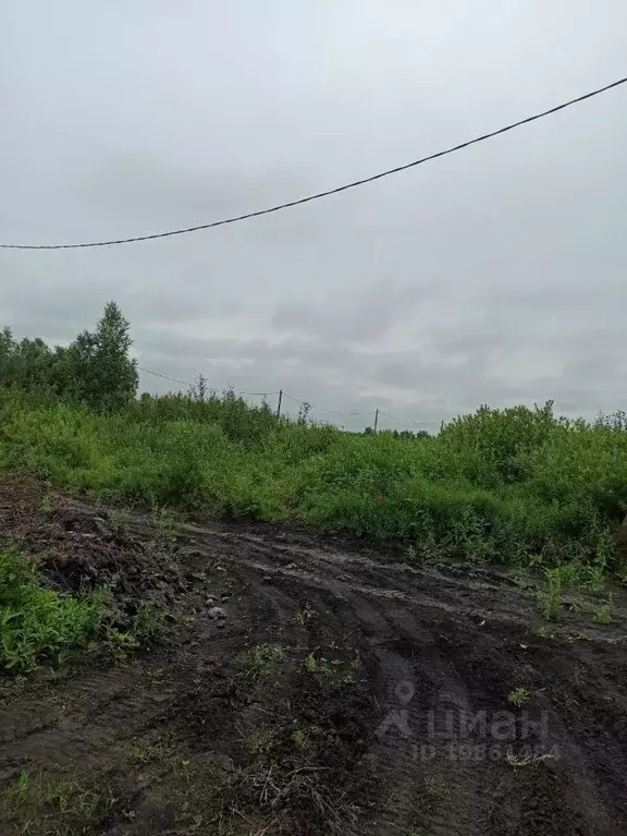 Участок в Тюменская область, Тюмень Яровское садовое товарищество,  ... - Фото 1