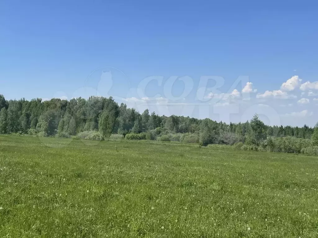 Участок 10 сот. (ИЖС) - Фото 0