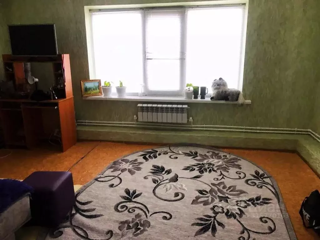 Студия Оренбургская область, Курманаевский район, Лабазинский ... - Фото 1