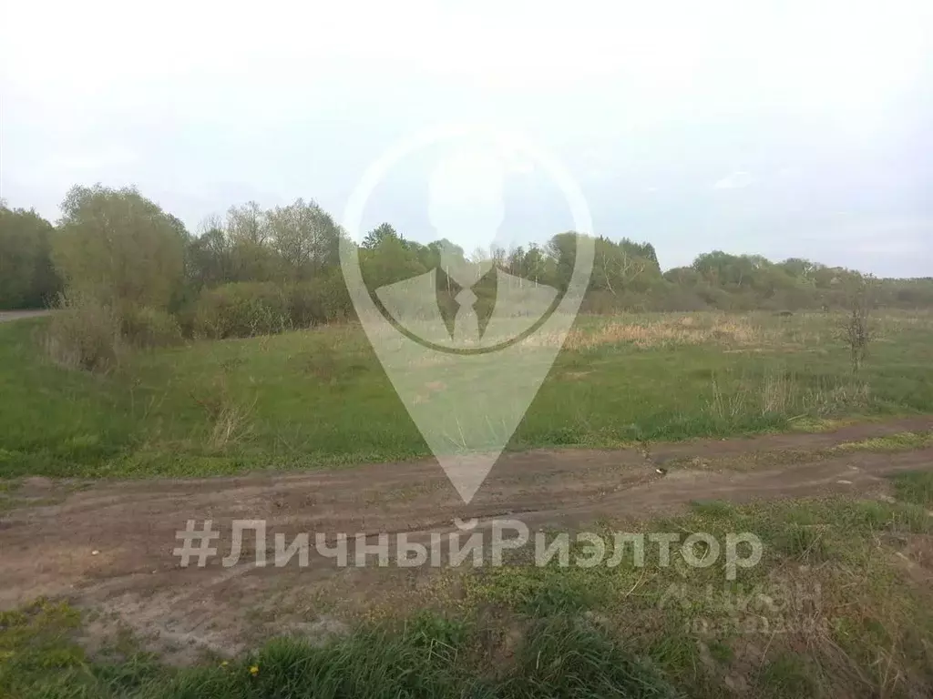 Участок в Рязанская область, Захаровский район, Добро-Пчельское с/пос, ... - Фото 0