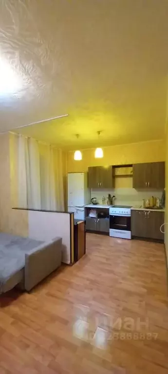 Студия Московская область, Лосино-Петровский городской округ, ... - Фото 2