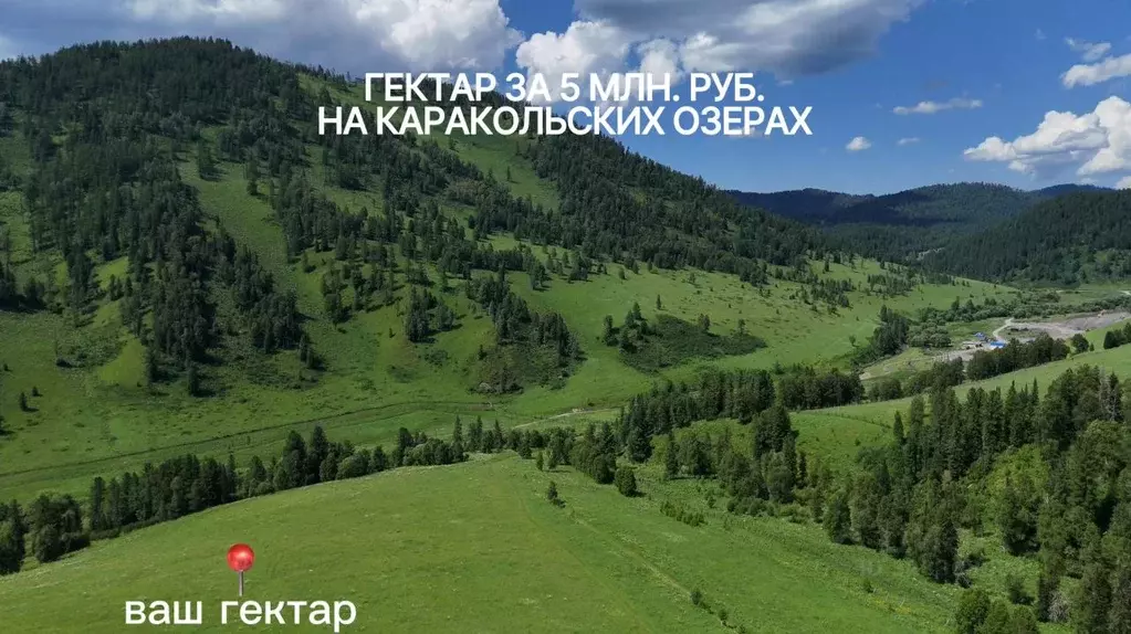 Участок в Алтай, Чемальский район, Элекмонарское с/пос  (1.0 сот.) - Фото 1