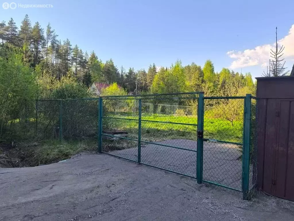 Участок в Выборгский район, Рощинское городское поселение, территория ... - Фото 2