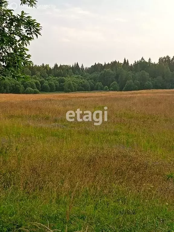 Участок в Выборгский район, Приморское городское поселение, посёлок ... - Фото 0