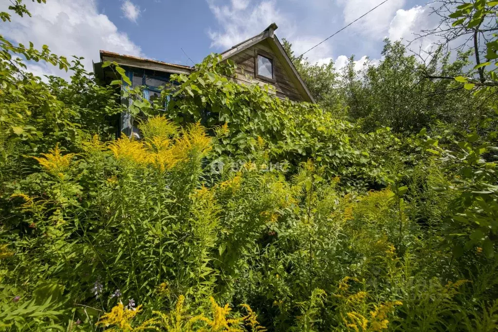 Участок в Нижегородская область, Нижний Новгород Яблоко СНТ, 39 (5.2 ... - Фото 2