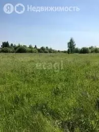 Участок в Калининградская область, Гурьевский муниципальный округ, СТ ... - Фото 1
