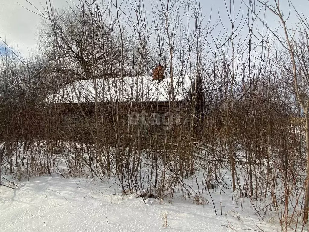 Дом в Мордовия, с. Кочкурово ул. Ленинская, 165 (50 м) - Фото 0
