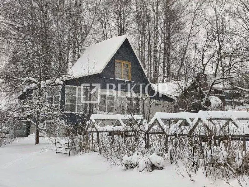 Дом в Костромская область, Кострома Березка СТ, 93 (40 м) - Фото 2