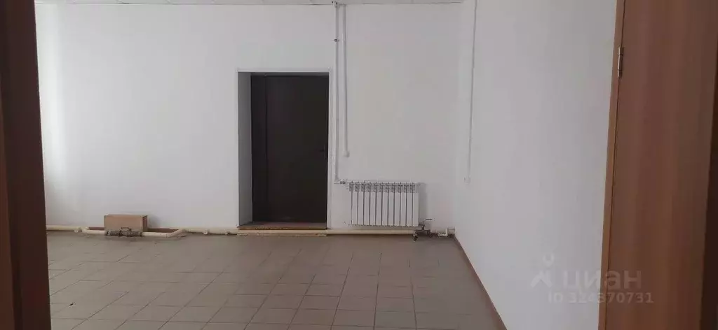 Помещение свободного назначения в Татарстан, Алексеевское пгт ул. ... - Фото 1