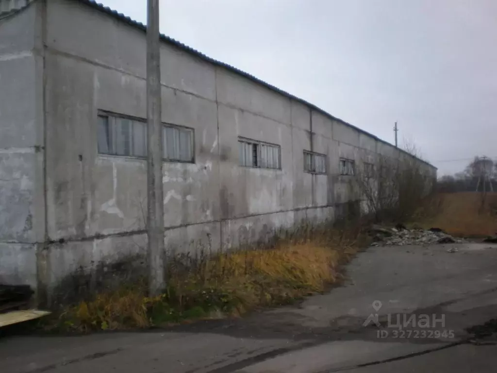 Склад в Московская область, Лотошино пгт ул. Калинина (2000 м) - Фото 2