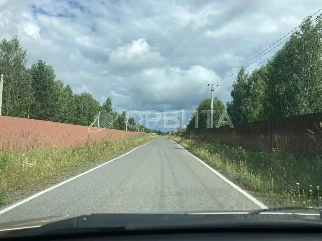 Участок в Тюменская область, Нижнетавдинский район, Царицыно СНТ ул. ... - Фото 1