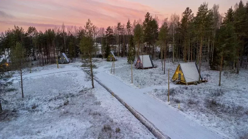 Участок в Ленинградская область, Приозерский район, Красноозерное ... - Фото 1