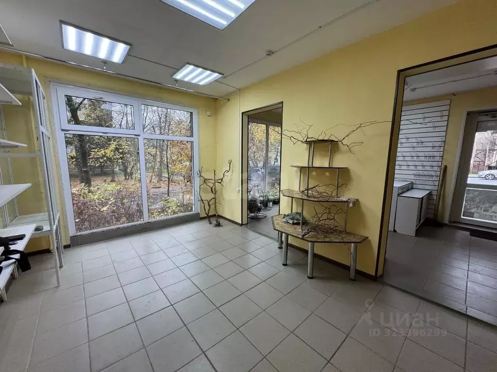 Помещение свободного назначения в Смоленская область, Смоленск ул. ... - Фото 1